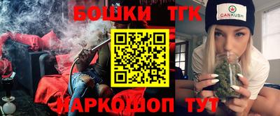 прущие грибы Нальчик
