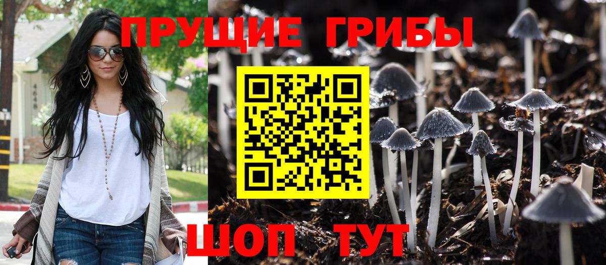Ставрополь  Псилоцибиновые грибы ЛСД  Вход с VPN  Галлюциногенные грибы Cubensis 